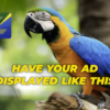 Register your FREE account today!